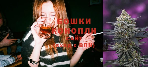 спайс Корсаков