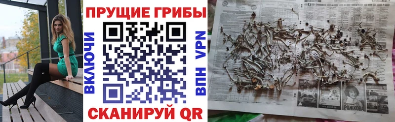 Галлюциногенные грибы мицелий  где купить наркоту  Великий Устюг 