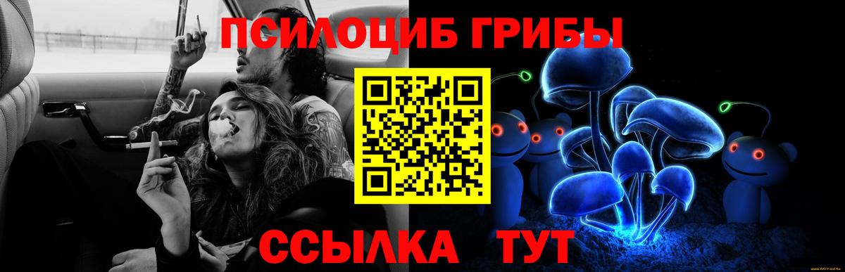 Псилоцибиновые грибы прущие грибы Великий Устюг